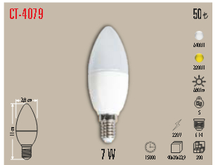 CT-4079 7 W buji amp�l